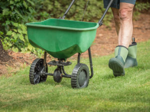 lawn fertilizing equipment being used by a person