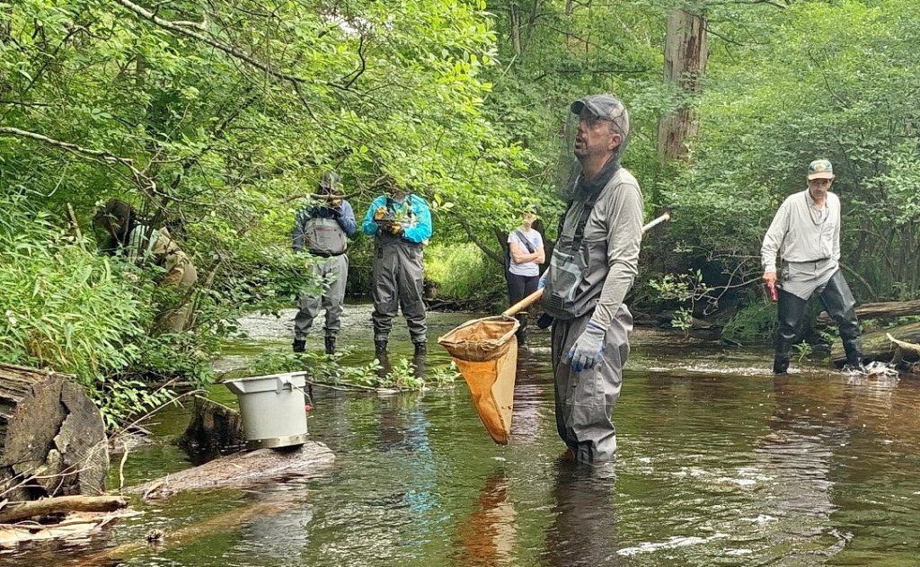 Sampling crews in hip waders working in a stream