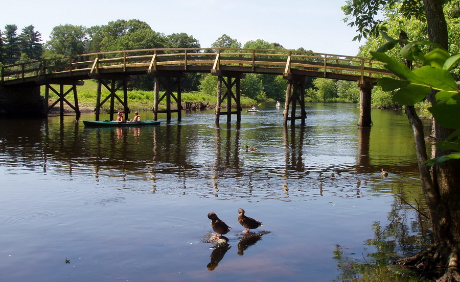 Wooden bridge over a river with canoers and ducks