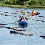 Woman in kayak paddles on the water.
