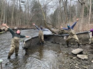 Three people standing in river with their arms raised monitoring eels