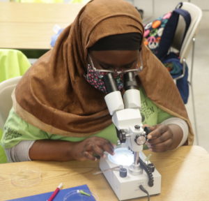 Tides student using microscope