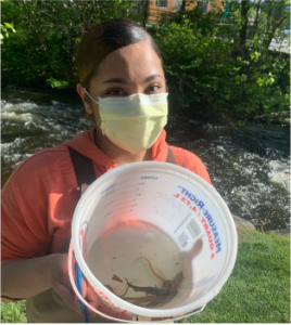 Students and Volunteers Celebrate Another Season of Eel Research