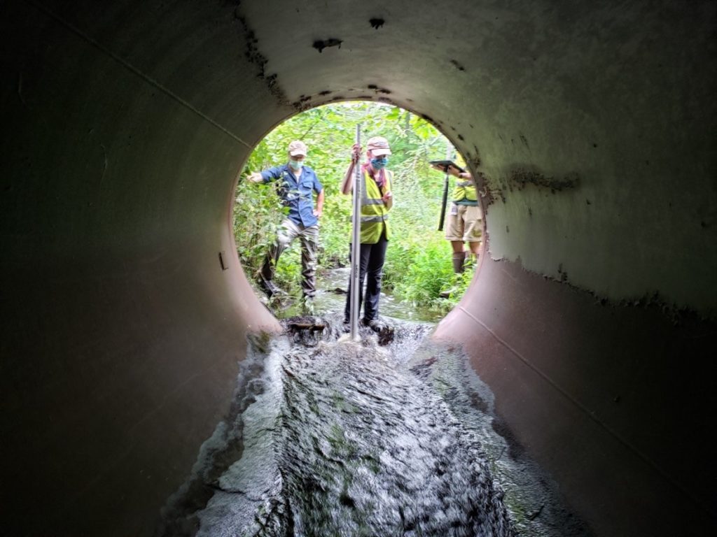 Researchers standing at the inlet of a round culvert.