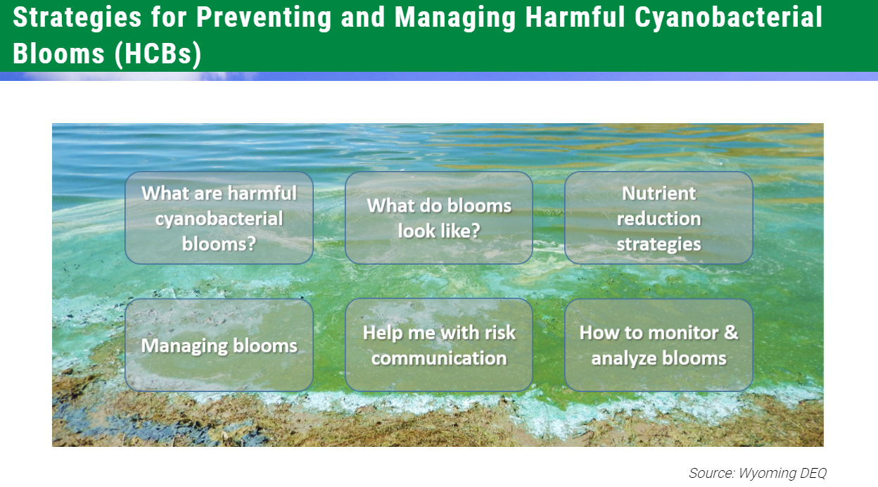 Graphic from the “Strategies for Preventing and Managing Harmful Cyanobacterial Blooms” webpage