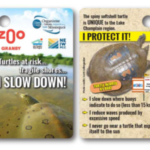 Turtle Education Cards Granby Zoo