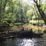 A low-gradient, slow-moving stream.