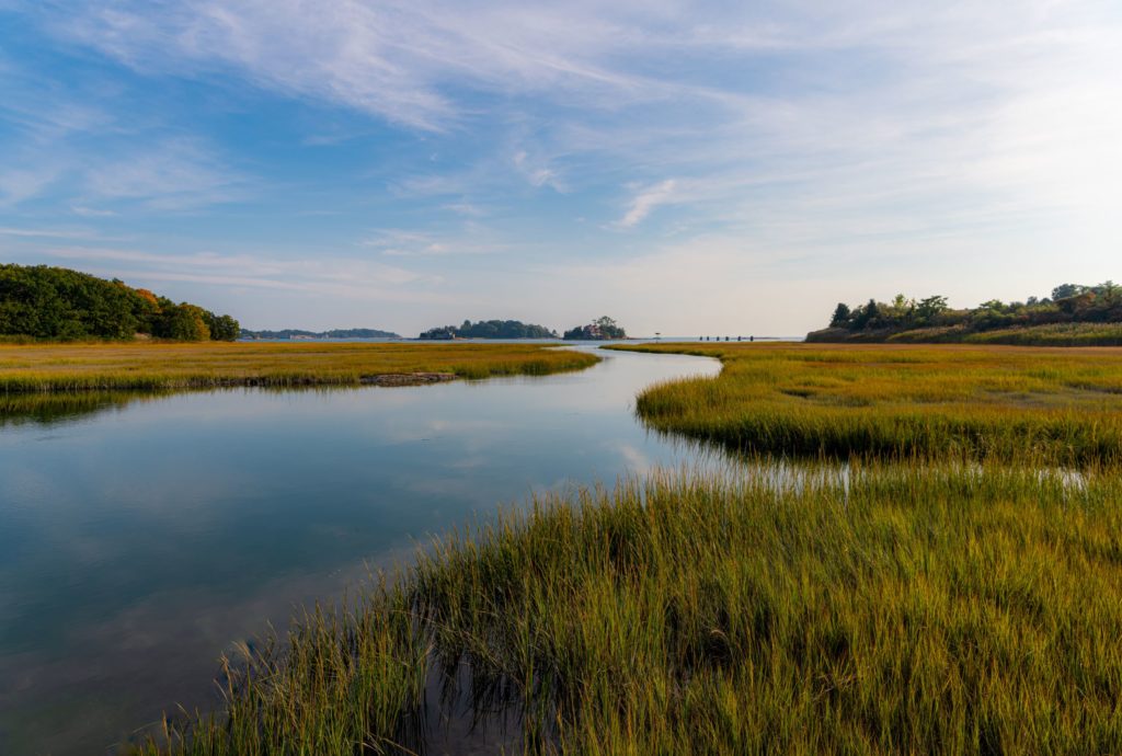 Scenic wetlands photo