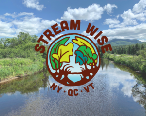 Stream Wise logo and a scenic river