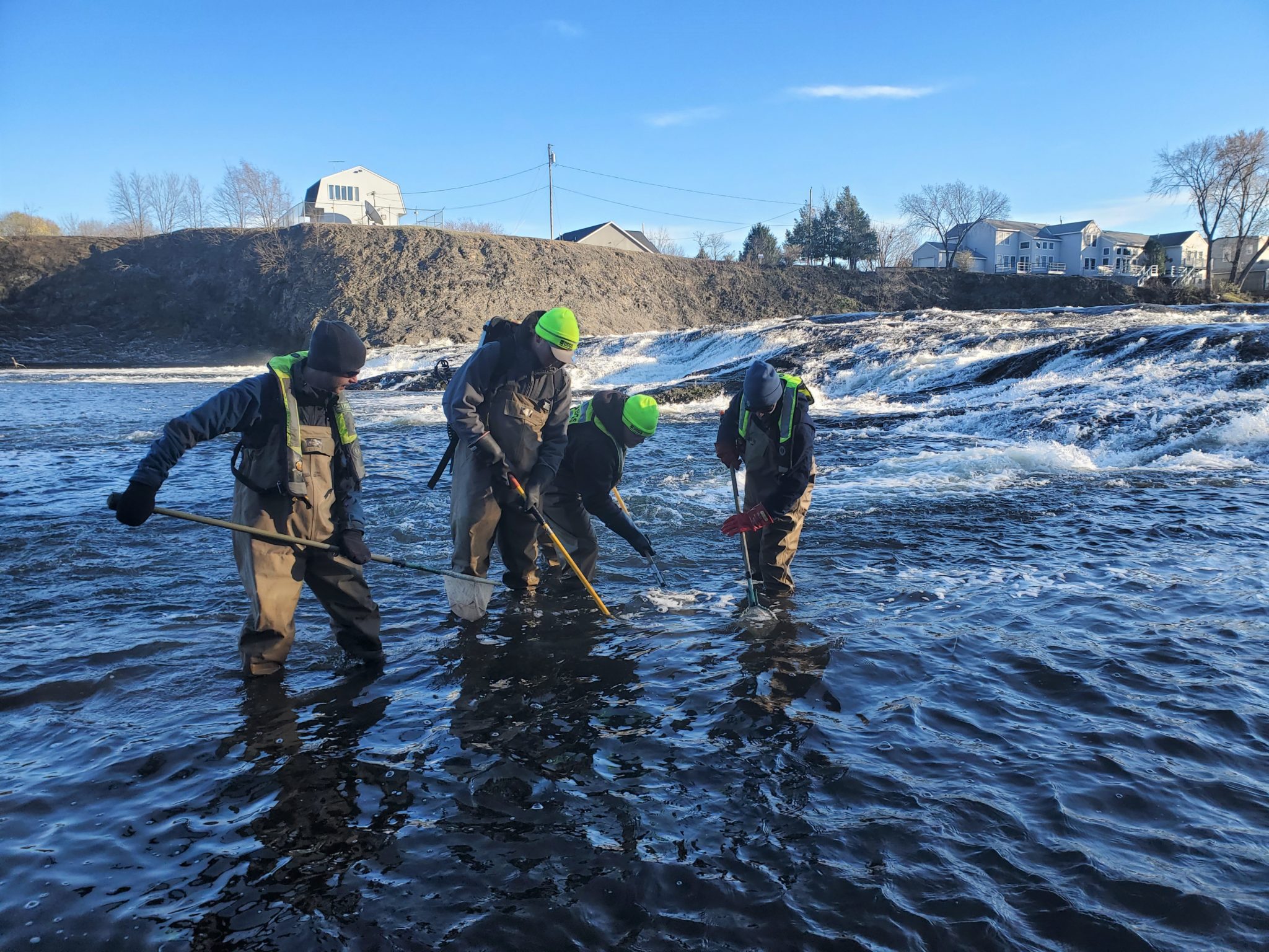 Knocking on Lake Champlain’s Door: The Round Goby • NEIWPCC