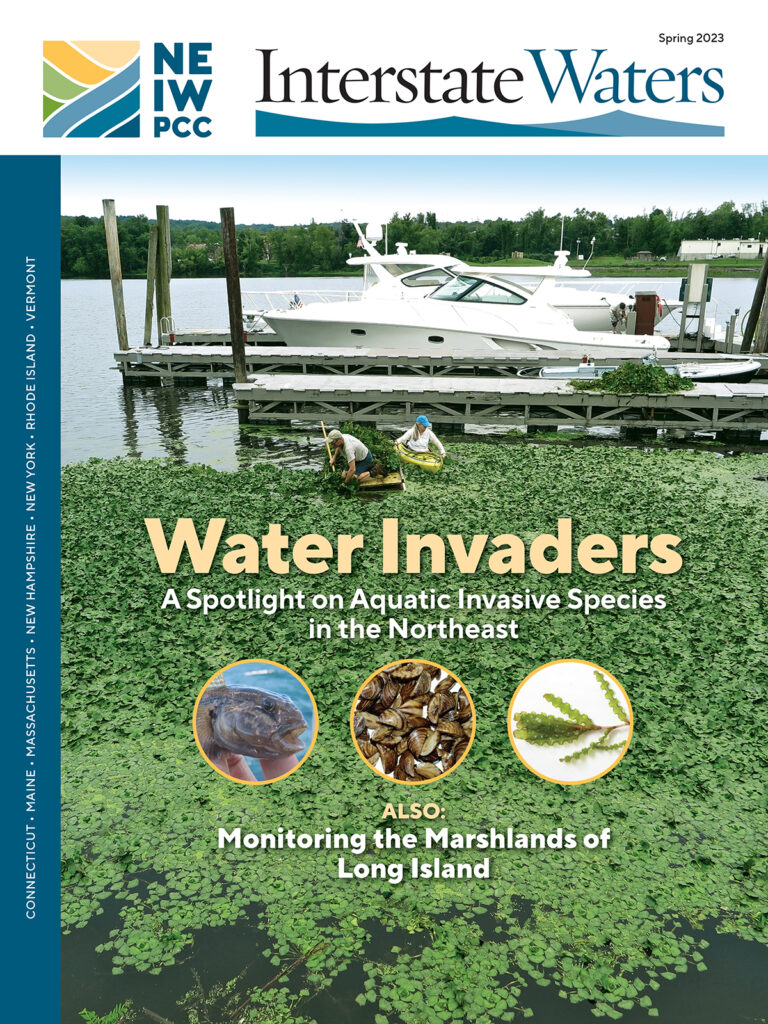Spring Issue of Interstate Waters Spotlights Aquatic Invasive Species