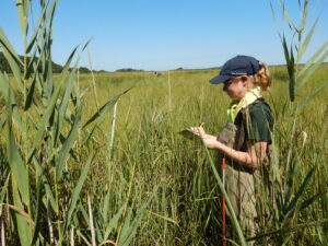 Victoria O’Neill: Monitoring the Marshlands of Long Island