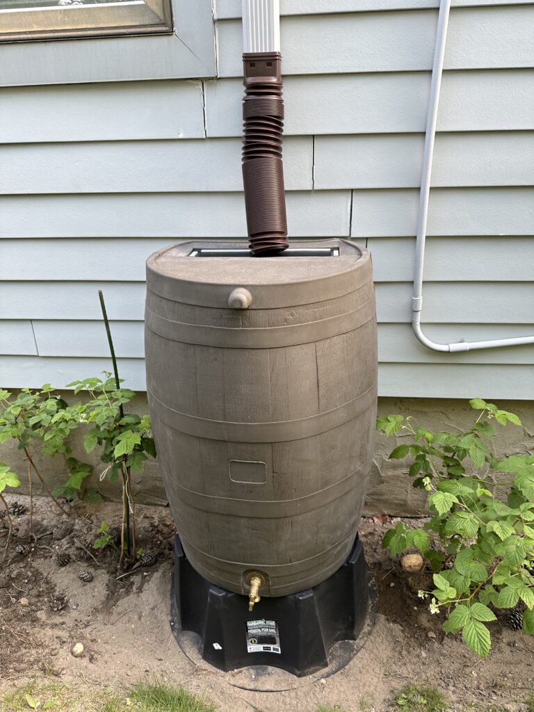 Rain barrel to collect rain water in a residential setting.