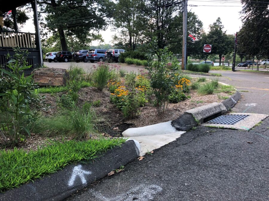 At the Beardsley Park Zoo in Bridgeport, CT stormwater travels through the curb cut into the vegetation of a rain garden for treatment instead of directly entering the storm drain. (Photo courtesy of NFWF.)
