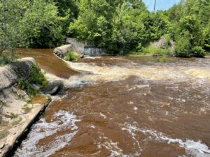 Dam Removal Advances Atlantic Salmon Restoration in Lake Champlain Basin