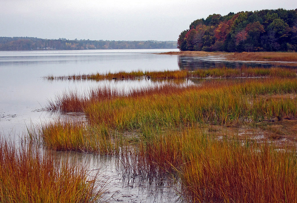 Clean Water Podcast Examines Restoration in New Hampshire’s Great Bay