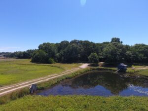 Clean Water Podcast Features Nature-Based Solutions on Cape Cod