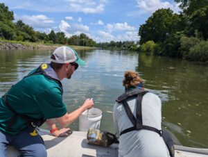 Multiplate Sampling on the Genesee River in New York State