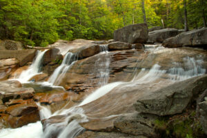 Call for Abstracts Now Open: Northeast Aquatic Biologists Conference