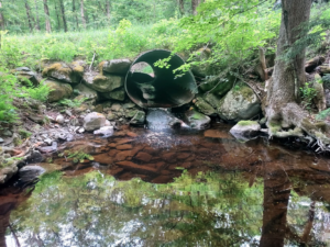 Two Projects Announced to Restore Habitat Connectivity in the Hudson River Watershed