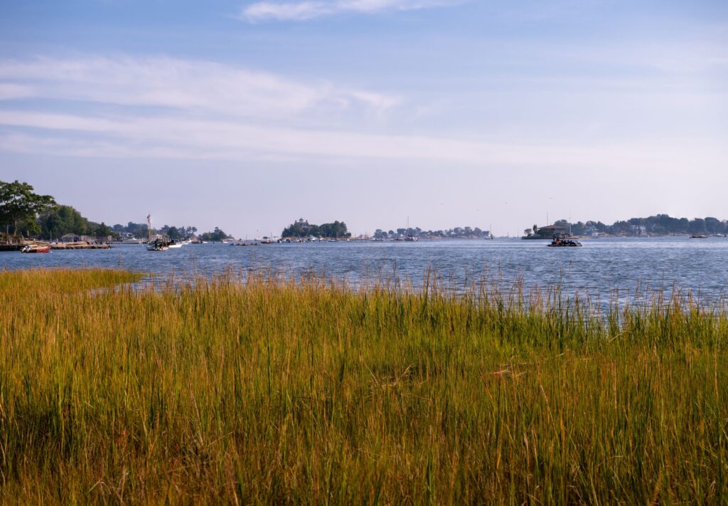 Long Island Sound Study Seeks Input on Draft Conservation Plan