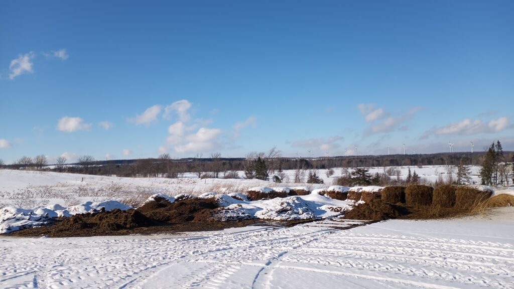 Snow covered field with a manure pile.