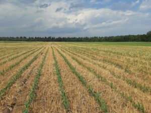 Working the Land to Love the Lake: How Farmers Make a Difference in New York’s Lake Champlain Watershed