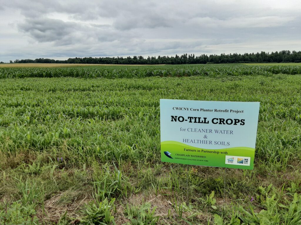 No-Till Crops yard sign in a field. Photo credit: Champlain Watershed Improvement Coalition of New York.