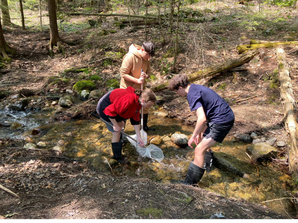 Three Stream Education Program participants explore West Brook using nets.