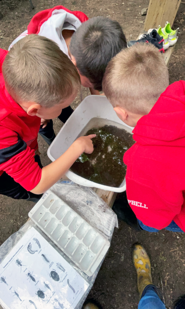 Floating Classroom Teaches Hands-on Environmental Science in Lake George