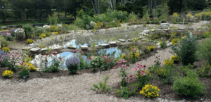 Long Island ‘Garden Rewards’ Reimbursement Program Available to Help Reduce Runoff and Nitrogen Pollution