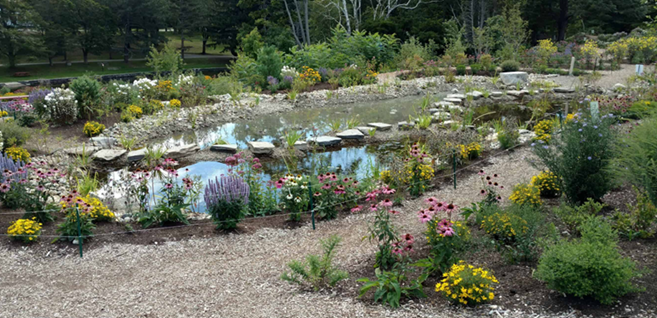 Native plantings