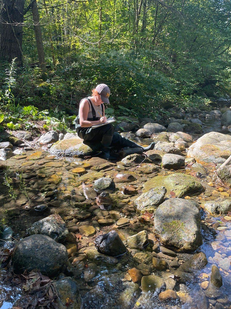 A woman sits on a rock besides a stream and is writing on a data sheet.