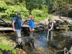New Research Measures Suitability of Reducing Phosphorus in Lake Champlain Through Floodplain Restoration