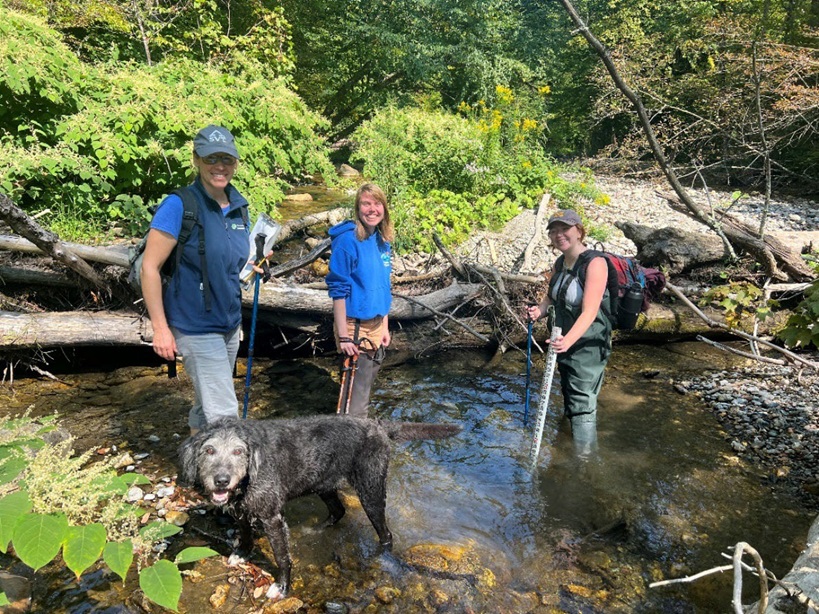 Three women stand in a stream, with a medium-sized black dog, holding hiking sticks, backpacks, and a ruler.