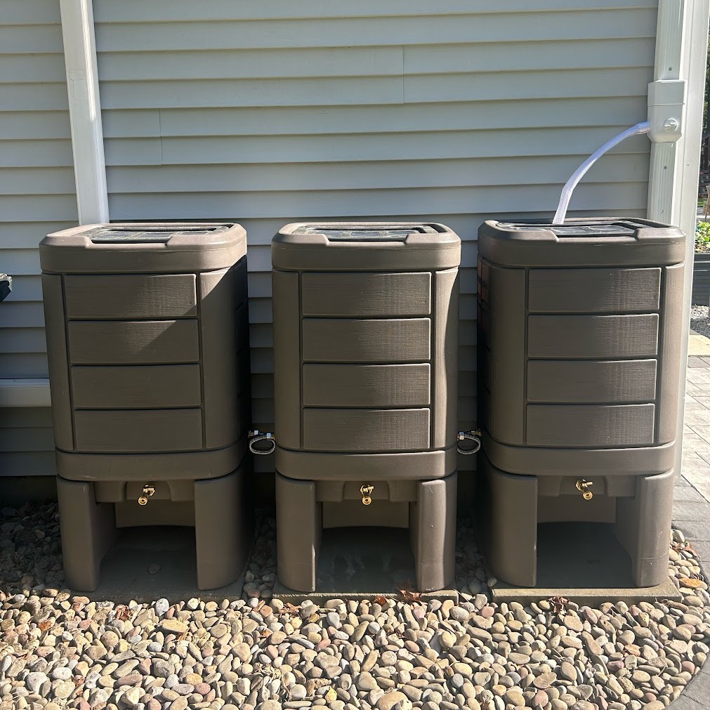 Rain barrels collect and store runoff.