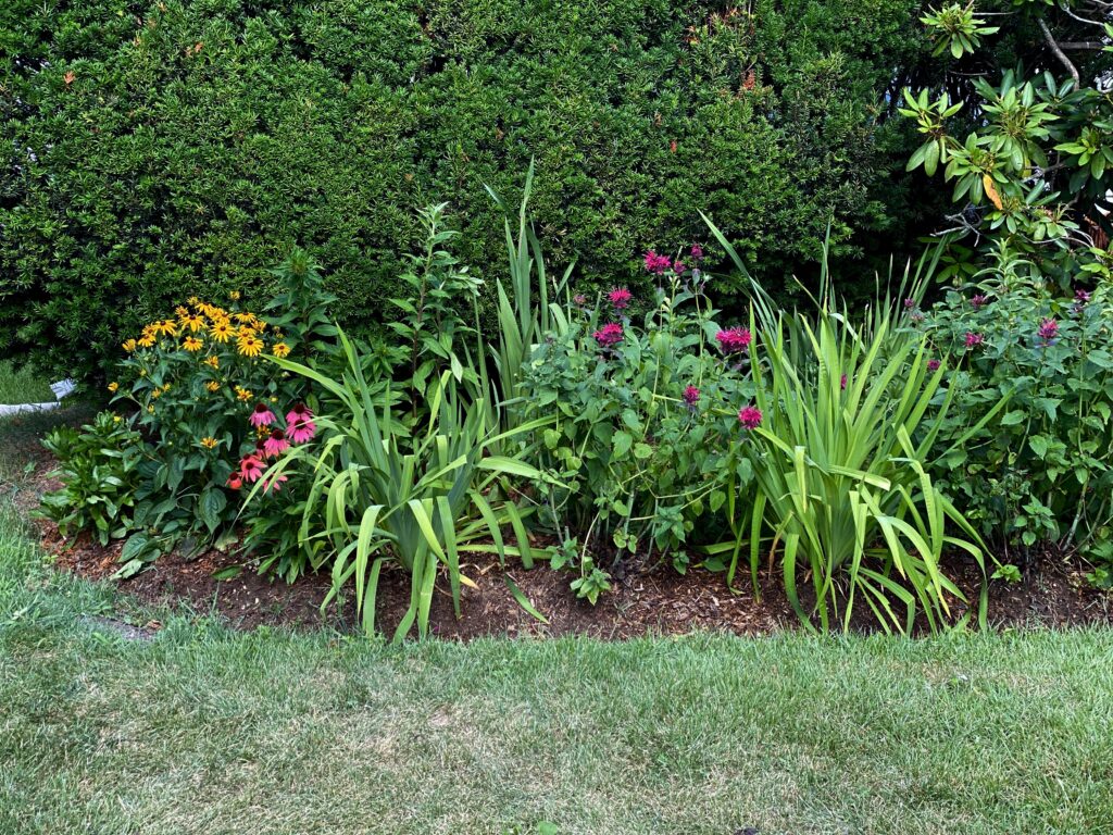 Native plants.