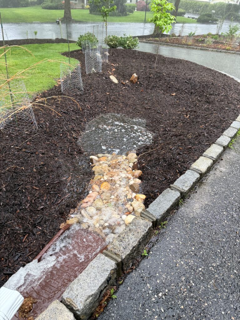 Rain garden