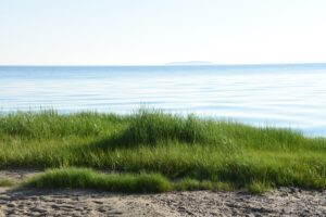 Abstracts Now Invited for the 2026 Annual Nonpoint Source Conference