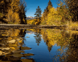 Webinar Highlights Colorado’s Watershed Rapid Assessment Program