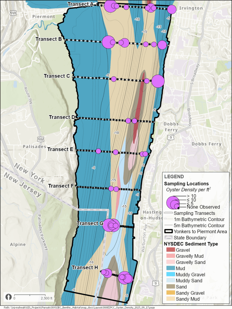 New Project Maps Oyster Density and Sediment Type in the Hudson River