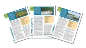 State Annual Reports Spotlight Clean Water Achievements 