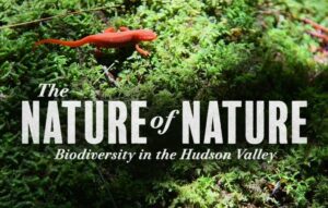New Documentary Film Features Biodiversity in the Hudson Valley