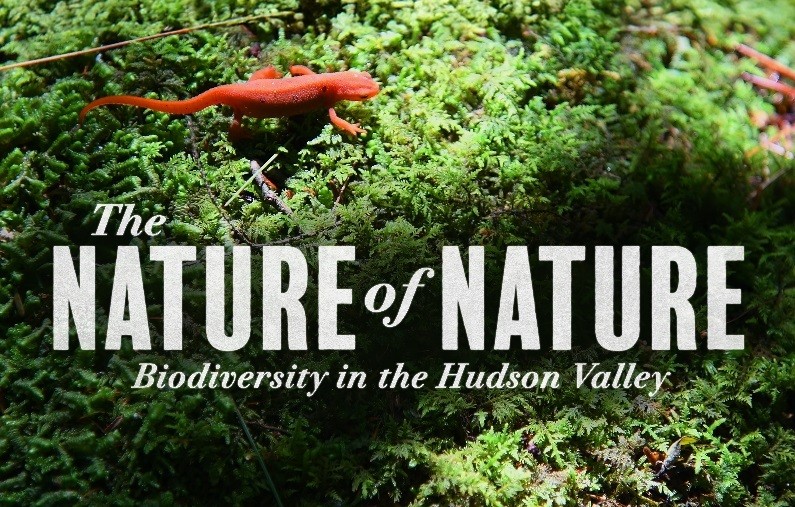 New Documentary Film Features Biodiversity in the Hudson Valley