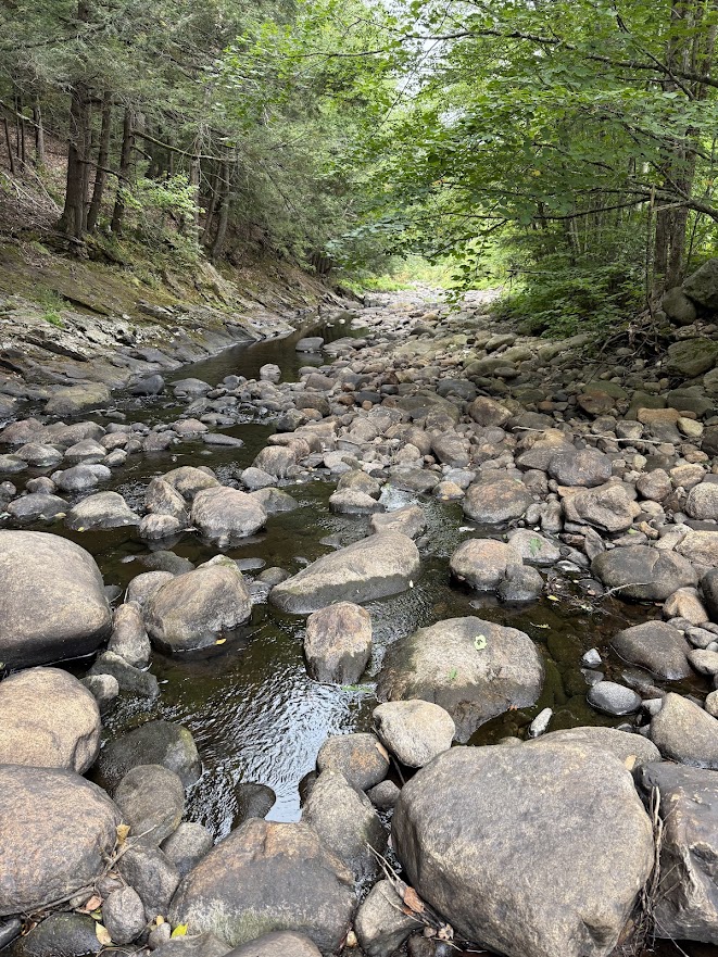 Otter Brook during low flow conditions show exposed boulders and banks.
