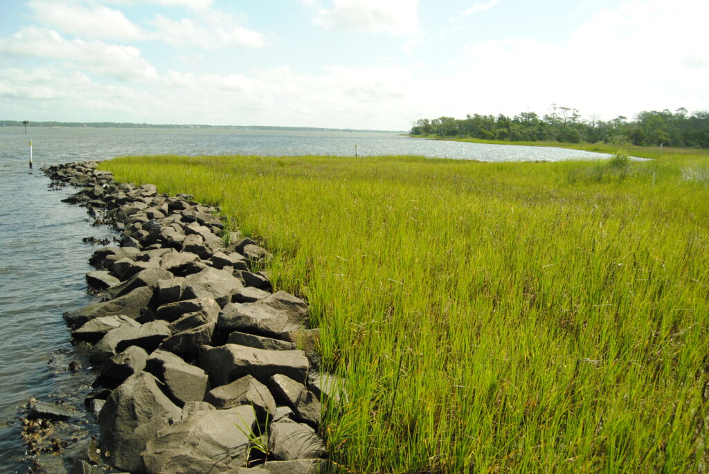 Rocks lined up parallel against water with a marsh grass planted behind it.